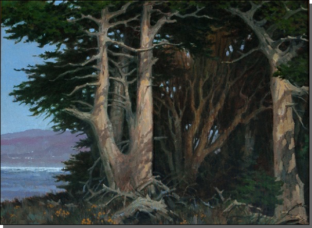 Monterey Cypress                     18 x 24